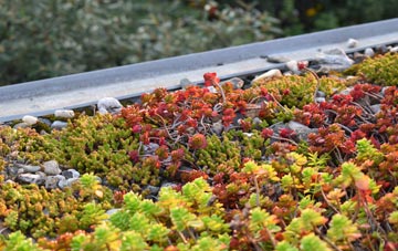 the cost of Blakenall Heath green roof installation